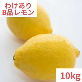 【ポイント10倍】【あす楽】広島県産レモン【B】わけあり　10kg　キズあり　送料無料　皮ごと食べて大丈夫　最低限まで減農薬　防腐剤・防カビ剤・ワックス不使用　　季節により薫り・美味しさの違いをお楽しみに　広島県尾道市瀬戸田町産、呉市豊浜町産