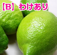 すぐ出荷可｜広島県産レモン【B】わけあり　|　10kg　|　送料無料　|　皮ごと食べて大丈夫　最低限まで減…