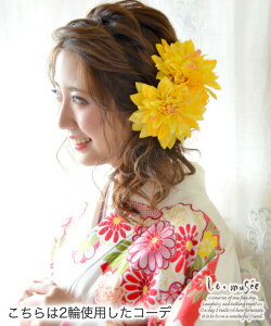 wbhhX  EFfBO _A 1 S4F | ԉ uC_    ][g OB ԏ wAANZ wAANZT[  zCg sN a U l J[