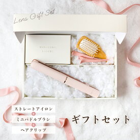 リナ ヘアアイロン ストレート ギフトセット ストレートアイロン ヘアーアイロン プレゼント用 前髪 前髪用 持ち運び 持ち歩き 携帯用 旅行 ピンク かわいい 痛み にくい ミニパドルブラシ ヘアクリップ Lena winter クリスマス