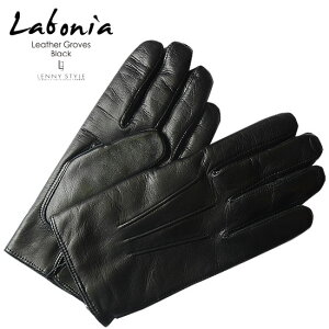 {jAi Labonia jU[O[u i  j ( v ) - ubN