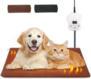 ybgpzbgJ[ybg 65x40cm LΉ x S݌v