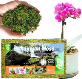 圧縮水苔 150g 天然素材 胡蝶蘭 植え替え 多肉植物 観葉植物 園芸用 培養土 ミズゴケ 土壌改良