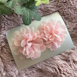 yxr[gzt[wA[Nbv 2Zbg  q ǂ xr[ Ԃ  킢 ݃J[ wAs  wA?ANZT[ ۂۂ ||  a