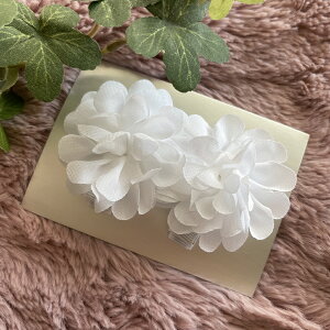 yxr[gzt[wA[Nbv 2Zbg  q ǂ xr[ Ԃ  킢 ݃J[ wAs  wA?ANZT[ ۂۂ ||  a