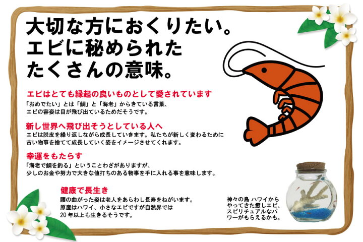 楽天市場 癒しエビ ピクシーシュリンプ 大瓶ビーズ イエロー 熱帯魚 シュリンプ セット 飼育セット アクアリウム エビ 観賞 インテリア 手軽 初心者 癒し 癒しグッズ ハワイ ハワイアン 雑貨 かわいい おしゃれ 喜ばれる 部屋 卓上 観賞用 プレゼント ギフト 贈り物