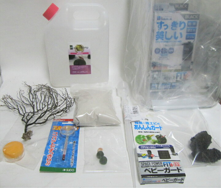 楽天市場】【癒しエビ】[ピクシー シュリンプ水槽セット 大自然]備品 