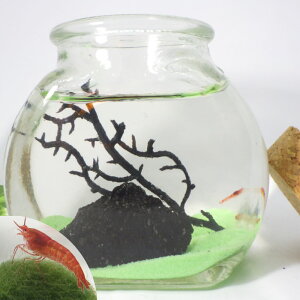 グッズ 癒し その他のインテリア雑貨 通販 価格比較 価格 Com