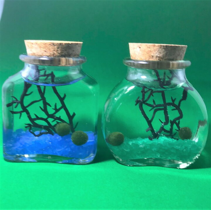 市場 水草 星の砂入りまりも４色 栄養剤付きセット Aqua