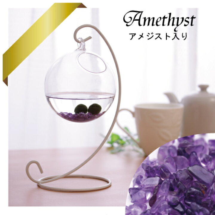 楽天市場 ハンギング アメジスト入りまりもまりも マリモ 毬藻 水草 アクアリウム インテリアグッズ インテリア 天然石 パワーストーン アメジスト 初心者 手軽 癒し かわいい オシャレ レンプロショップ