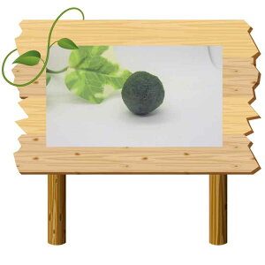 ܂@L@TYPE 1܂ } {  ANAE CeAObY CeA S y  킢 IV