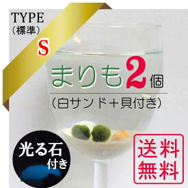 まりも 3点セット　プラス光る石付き癒しグッズ☆まりも マリモ 阿寒湖　販売　土産　毬藻 水草 アクアリウム インテリアグッズ インテリア 初心者 手軽 癒し かわいい オシャレ☆