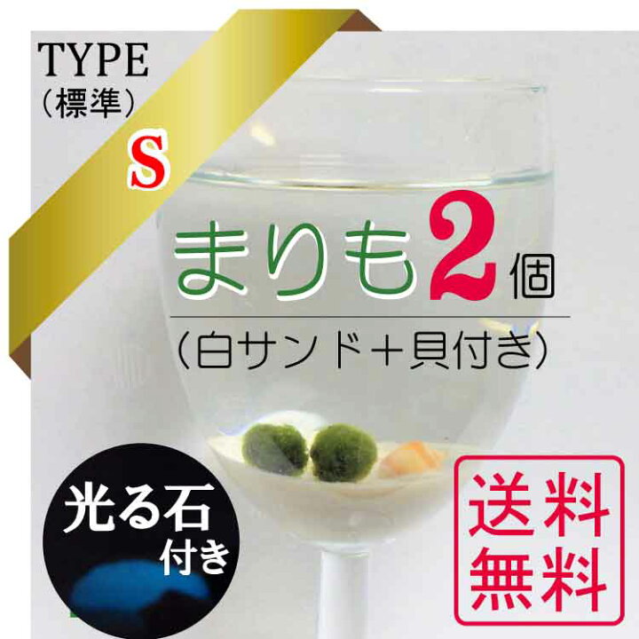 楽天市場】まりも 3点セット プラス光る石付き癒しグッズ☆まりも 