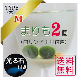 まりも 3点セット Mタイプ　プラス光る石付き癒しグッズ☆まりも マリモ 阿寒湖　販売　土産　毬藻 水草 アクアリウム インテリアグッズ インテリア 初心者 手軽 癒し かわいい オシャレ☆