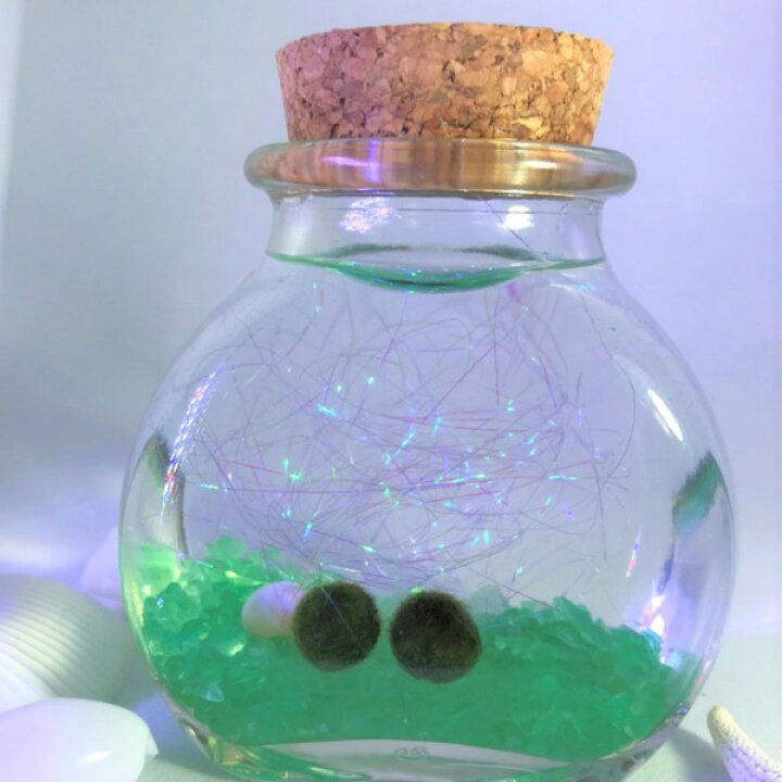 楽天市場 キラキラまりも 選べるカラーサンド まりも マリモ 毬藻 水草 アクアリウム インテリアグッズ 癒しグッズ インテリア 初心者 手軽 癒し かわいい オシャレ 阿寒湖 レンプロショップ