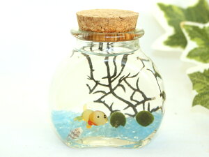 uAj}}v ܂ } {  ANAE CeAObY ObY CeA S y  킢 IV