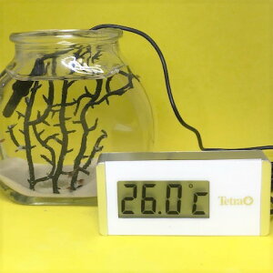 fW^v zCg@WD-1@250~\sNV[Vv yMы GrzVv ZbgEZbgEANAE Gr/CeA/y/S 