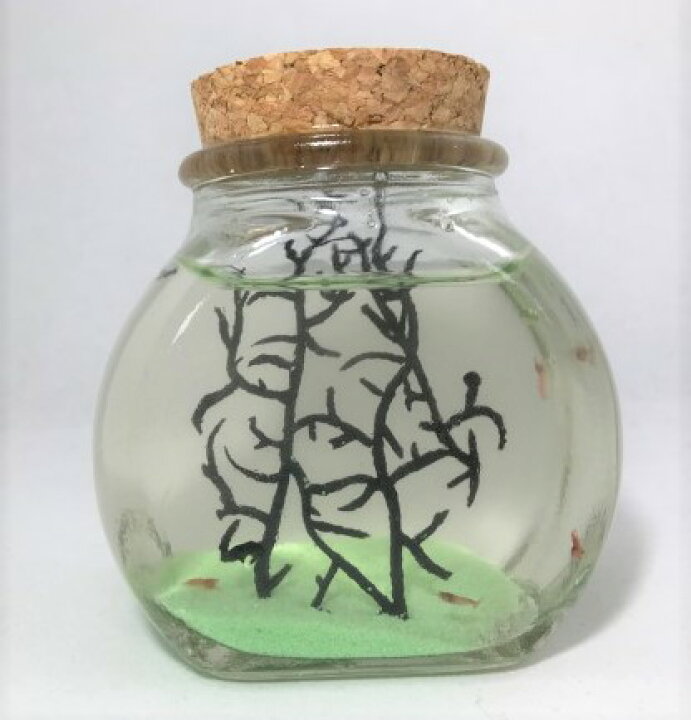 楽天市場 癒しエビ ピクシーシュリンプ 大瓶 緑 熱帯魚 シュリンプ セット 飼育セット アクアリウム エビ 観賞 インテリア 癒し 癒しグッズ ハワイ ハワイアン 雑貨 かわいい おしゃれ 手軽 初心者 喜ばれる 部屋 卓上 観賞用 プレゼント ギフト 贈り物 レンプロ