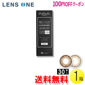 【100円OFFクーポン】【送料無料】エバーカラーワンデー ルクアージュ 30枚入1箱 ( コンタクトレンズ コンタクト 1日使い捨て ワンデー 1day カラコン サークル アイセイ アイレ エバーカラー 14.5mm 新木優子 30枚入り 1箱 )