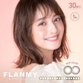 FLANMY 1day フランミー ワンデー 30枚入 | 佐々木希 カラコン ワンデー 度あり 度入り 度なし カラーコンタクト からこん ワンデイ 1日使い捨て 1dayタイプ 1デイ ブラウン ヘーゼル ※取寄せ