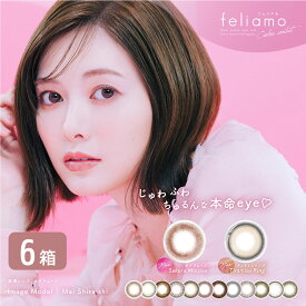 【最大700円OFFクーポン＆全品P2％以上】【3,520円OFFクーポン】 フェリアモ ワンデー feliamo 1DAY 6箱セット (1箱10枚) カラコン ワンデー カラーコンタクト 1日使い捨て 度あり 度なし ナチュラル ゆうパケット発送 送料無料