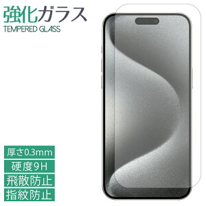 iPhone 15 pro max iPhone15proMax KXtB tی یtB dx9H wh~ Uh~  fBXvC V[ tB ACtH15 v }bNX docomo au softbank