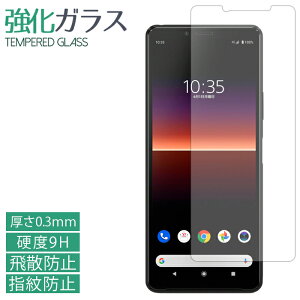 XPERIA 10 II SO-41A SOV43 KXtB tی یtB dx9H wh~ Uh~  fBXvC V[ tB so41a GNXyA10II GNXyA softbank au