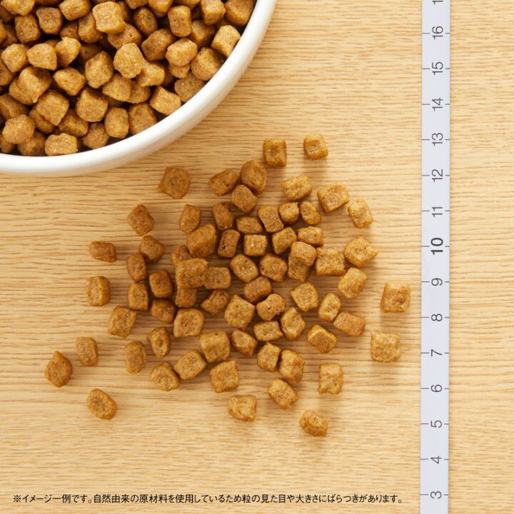 楽天市場】ニュートロ ナチュラルチョイス チキン＆玄米 成犬用 小型犬 