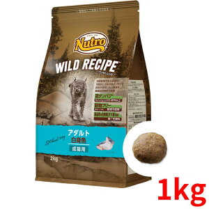 j[g ChVs Lbg A_g g 1kgyKiz