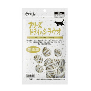 }}NbN t[YhC̃VEILp10g L  Y Y Lbgt[h