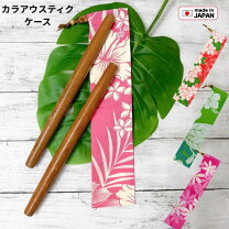 楽天市場】フラダンス 楽器 ケースの通販