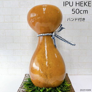 CvwP t_X t y Ŋy Cv nCA nC ÓTtJqRy@[CvwPoht]@IPU@IPUHEKE@nCA hula@IA