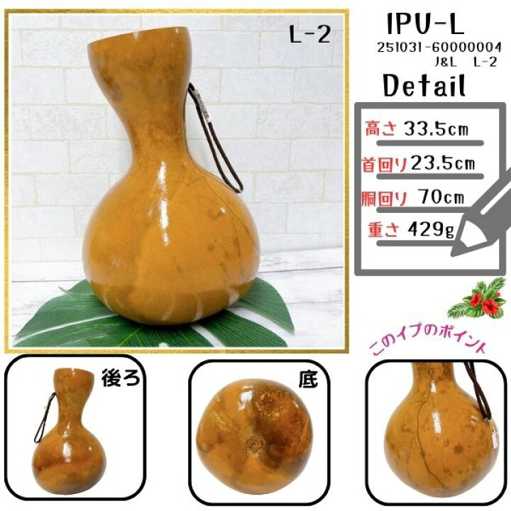 楽天市場】イプ Lサイズ フラ フラダンス 楽器 ハワイ ハワイアン 