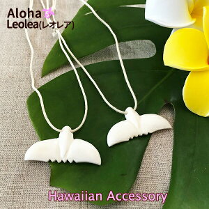 lbNX nC nCA ^q`A fB[X Y zG[e[ ~̂   O nCAt@bV v[g