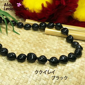 NNCC@ubN@@NNC C t_X t ߑ lbNX nCAANZT[ nC nCA nCAG݁@nCAEGfBO