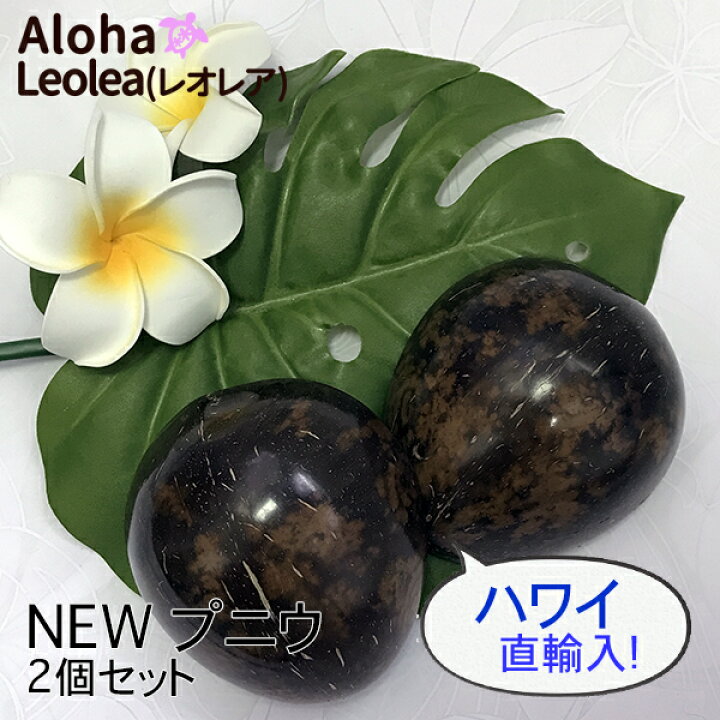 楽天市場】NEW プニウ ココナッツ フラ フラダンス 楽器 打楽器 