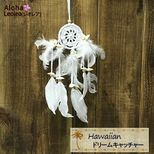 h[Lb`[ J[ANZT[ CeA nCAG hawaii  Ǌ| VF H zCg