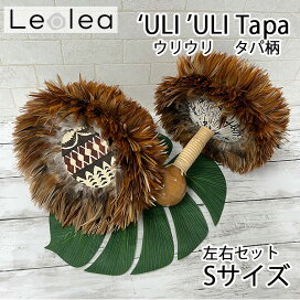 ウリウリフラ楽器 ウリウリ楽器 ウリウリボトム AlohaHulaSupply 個体 