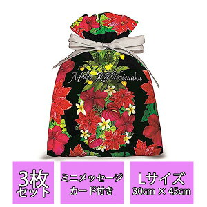 NX}X nCA bsO obOy3Zbgz {t bZ[WJ[h  В nC ISLAND HERITAGE Mtg v[g 蕨 yY