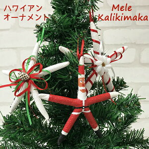 nCA NX}XI[ig qgf@X^[tBbV ALOHA NX}X I[ig  nCA nC JL}J@J[ANZT[