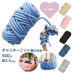 チャンキーニットヤーン  500g 極太毛糸 ハンドメイド DIY Tシャツヤーン 指で編む 腕で編む インテリア オシャレ 手編み ロシアヤーン 2.5cm幅