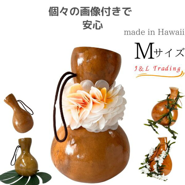 楽天市場】イプ Mサイズ フラ フラダンス 楽器 ハワイ ハワイアン  