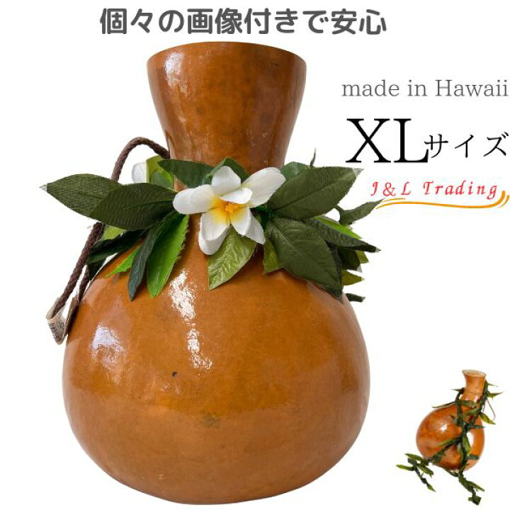楽天市場】イプ XLサイズ フラ フラダンス 楽器 ハワイ ハワイアン 