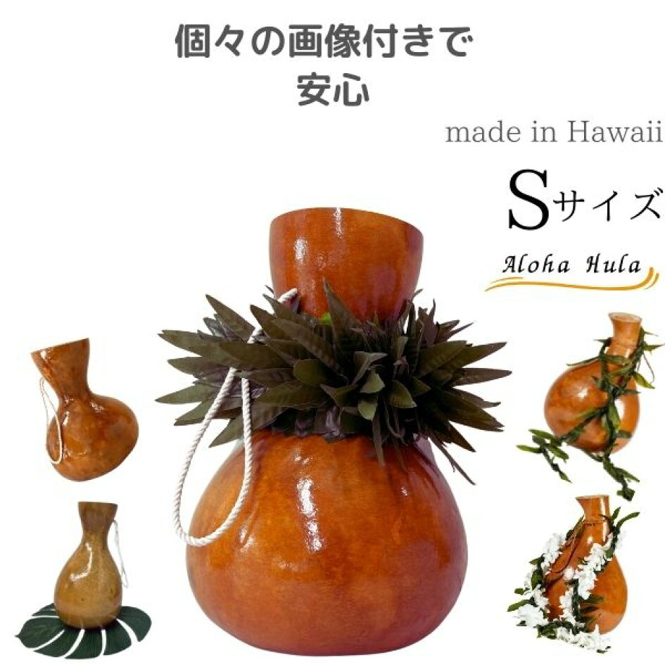 楽天市場 | ハワイアン フラショップ レオレア - ハワイから直輸入した 