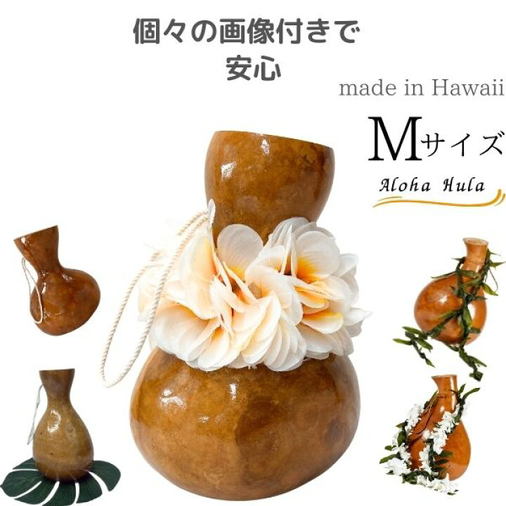 楽天市場】イプ Mサイズ フラ フラダンス 楽器 ハワイ ハワイアン 
