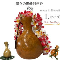 楽天市場】イプ ハワイの通販