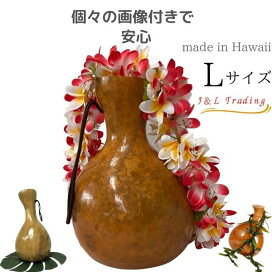 楽天市場】ウリウリ 着脱式セット Sサイズ フラ フラダンス フラ楽器 