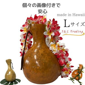 イプ Lサイズ フラ フラダンス 楽器 ハワイ ハワイアン 打楽器 ハワイアン楽器 フラ楽器 ハワイ直輸入 IPU 送料無料 パーカッション フラダンス用品 レオレア