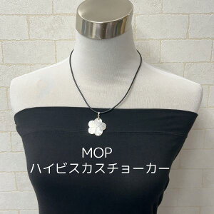 t t_X tߑ ^q`A_X ^q`Aߑ nC v[g@nCAANZT[@MOPnCrXJX`[J[ lbNX@IA