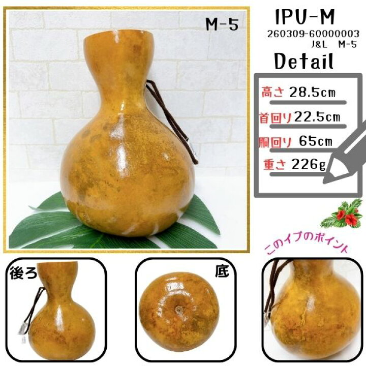 楽天市場】イプ Mサイズ フラ フラダンス 楽器 ハワイ ハワイアン 